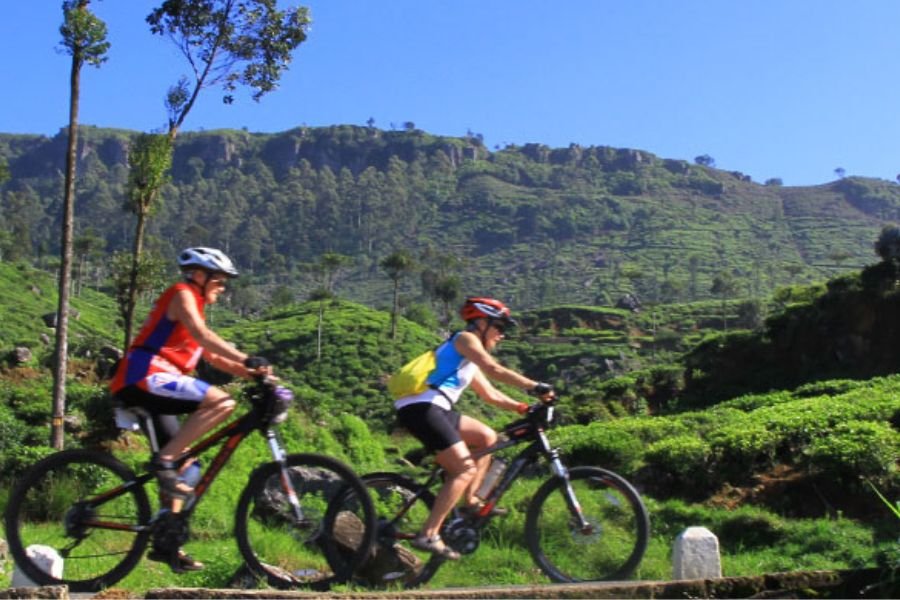 Uphill Highland Cycling